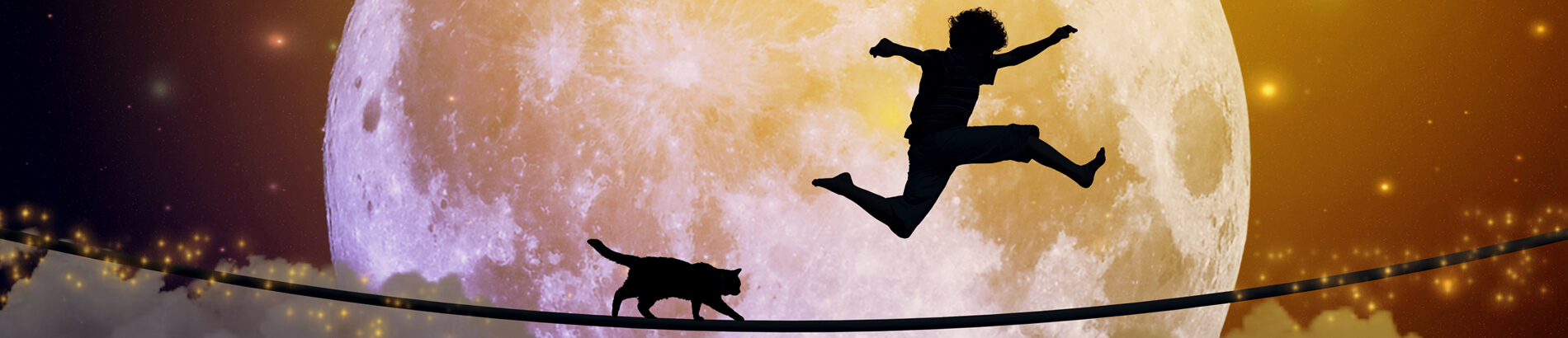 banner-boy-and-cat banner-boy-and-cat